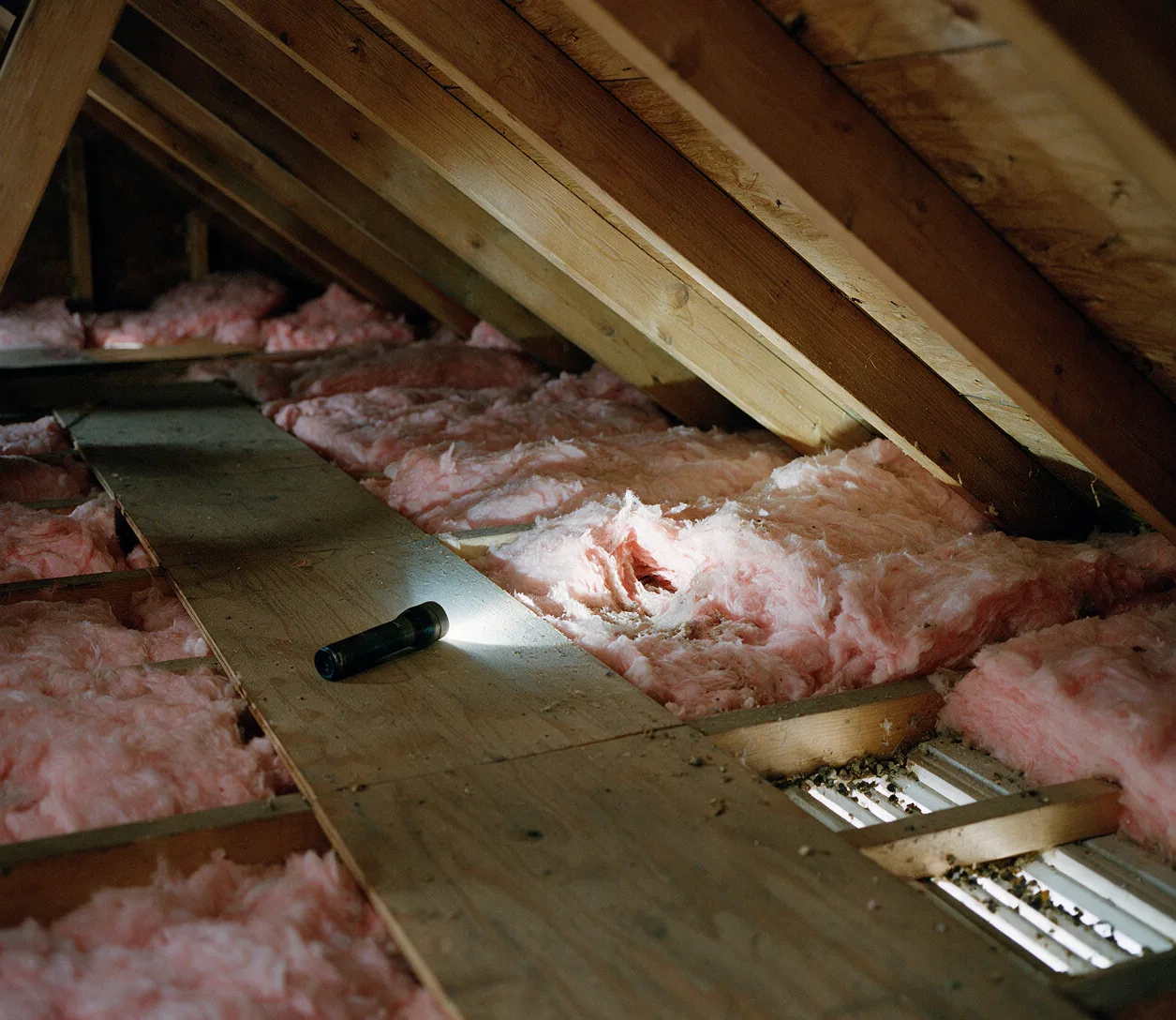 An attic flashlight inspection showing a tunnel in the insulation